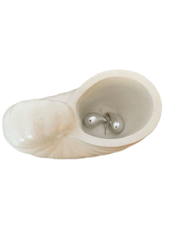 Sea shell - Image 2