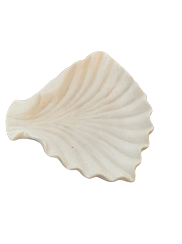 Shell Caribbean (12x12cm) - Image 2